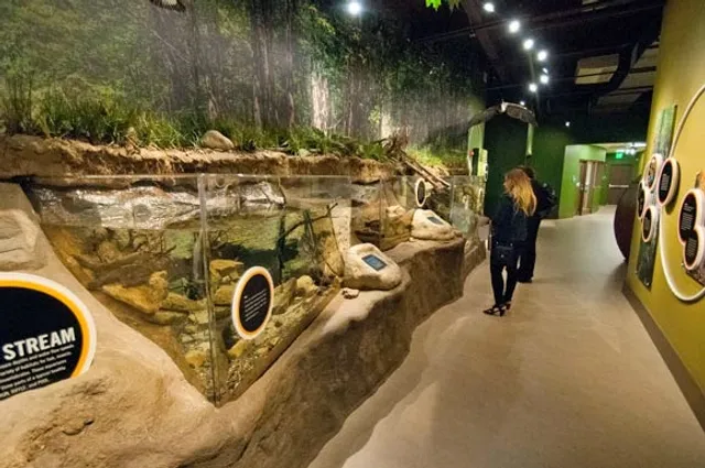 Watershed Stewardship Center