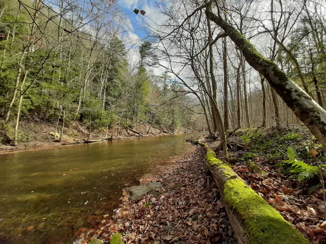 Gorge Overlook Trail