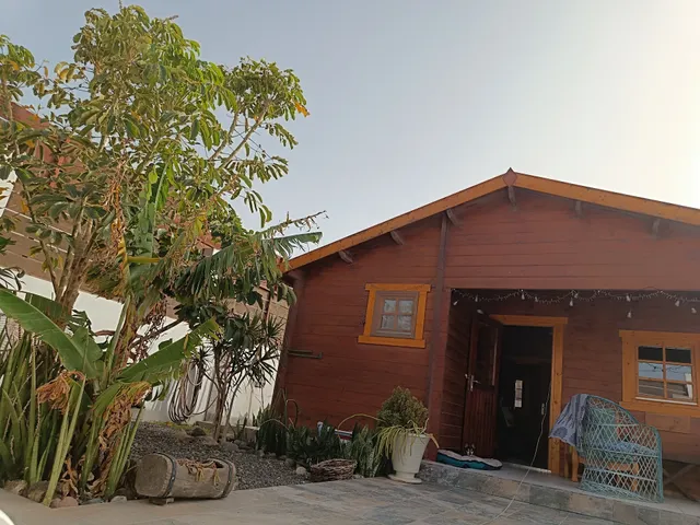 Canary Islands Wild Rent