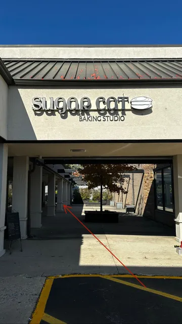 Sugar Cat Macaron Baking Studio (work with pre-orders)