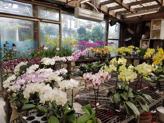 Joint Taipei Flower Market