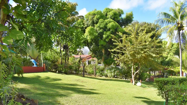 Ayahuasca Retreat Brazil