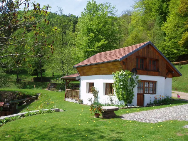 Chalet et Gîtes du Planot