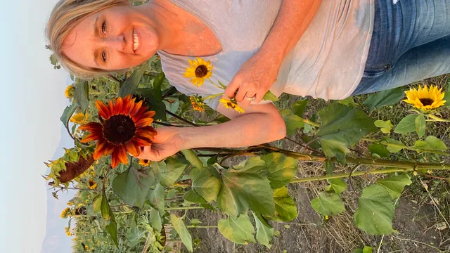 Green Acres Family Dairy, Pumpkin Patch & Corn Maze