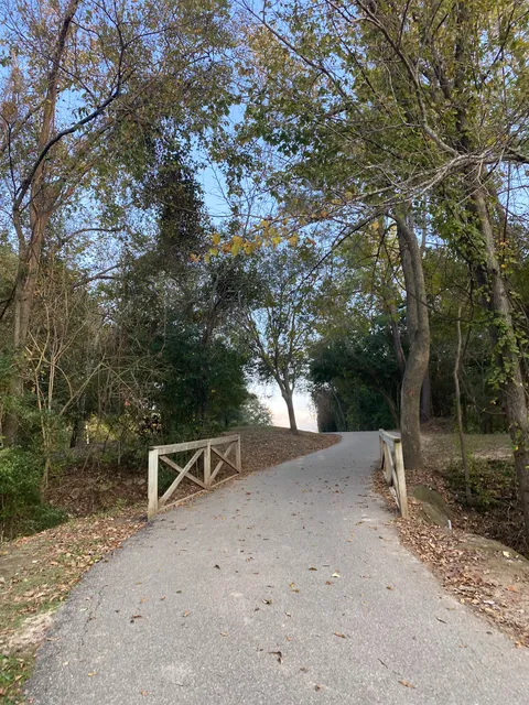 Terry Hershey Park Hike & Bike Trail - The Anthills