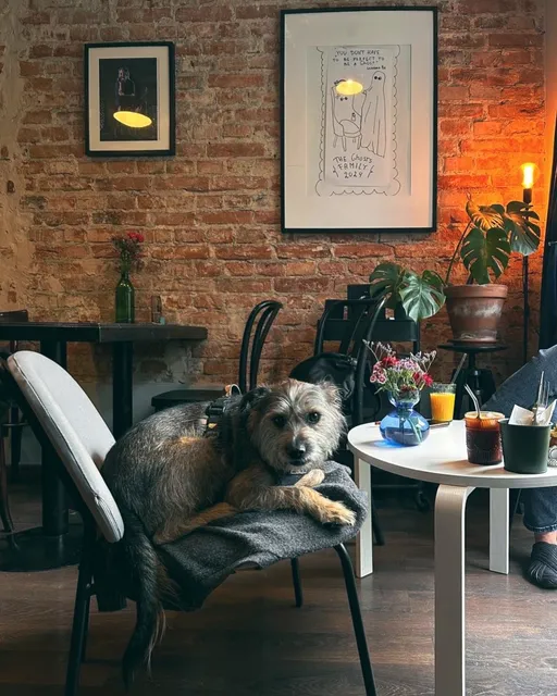 Michelle - Klubokawiarnia wegańska