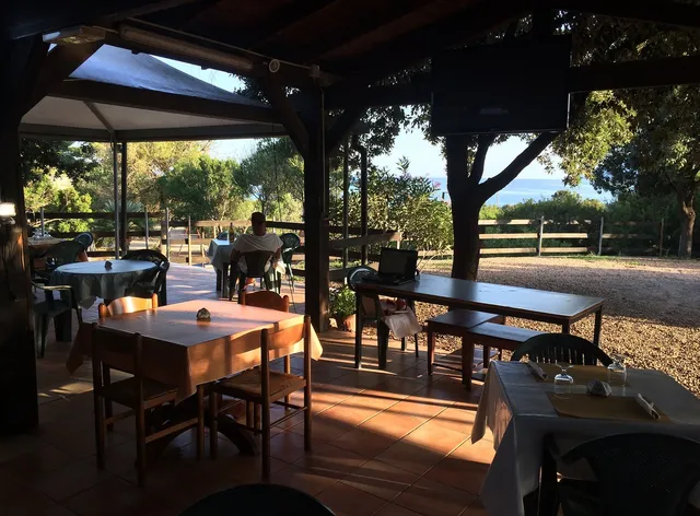 Camping Tesonis Beach