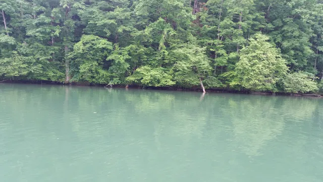 Beauxsacs Monogramming and Embroidery