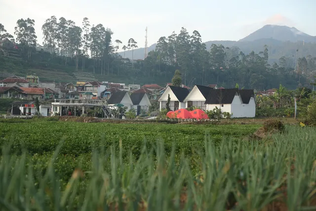 Ciwidey Hills and Wetland