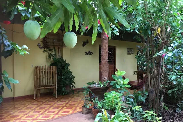Casa Los Mangos