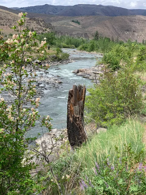Tieton River Nature Trail Access Point East