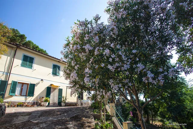 Agriturismo La Lecciola
