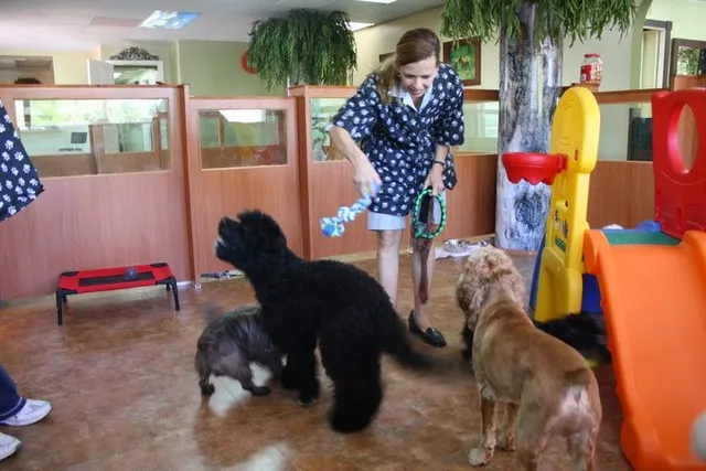Magic Grooming & Pet Resort