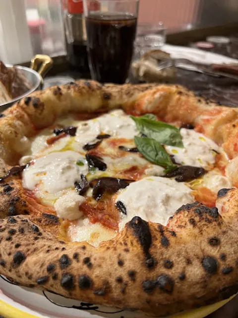 Dalmata Paris 11 (Ex Giorgio)