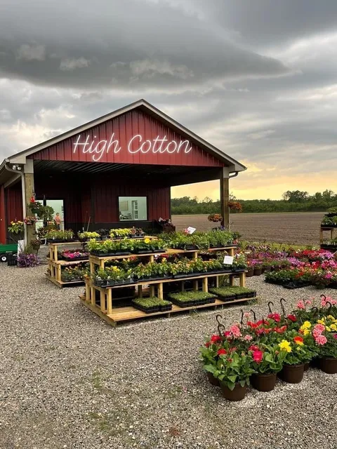 High Cotton Farms