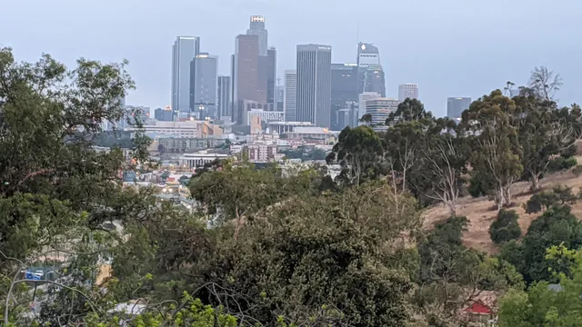 Buena Vista Hill Elysian Park