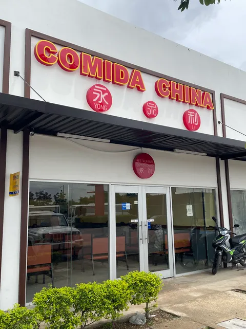 COMIDA CHINA