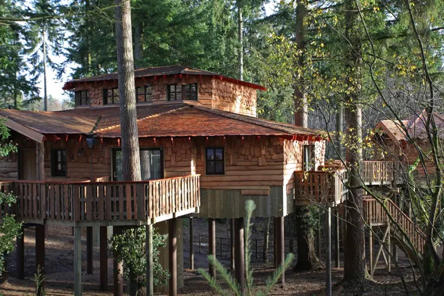 The Treehouses