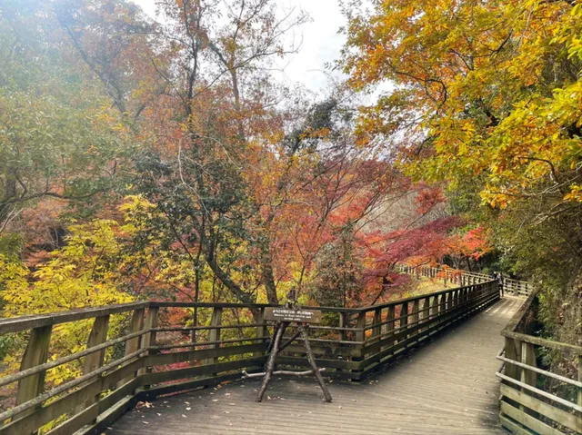 ほしだ園地管理事務所（ピトンの小屋）