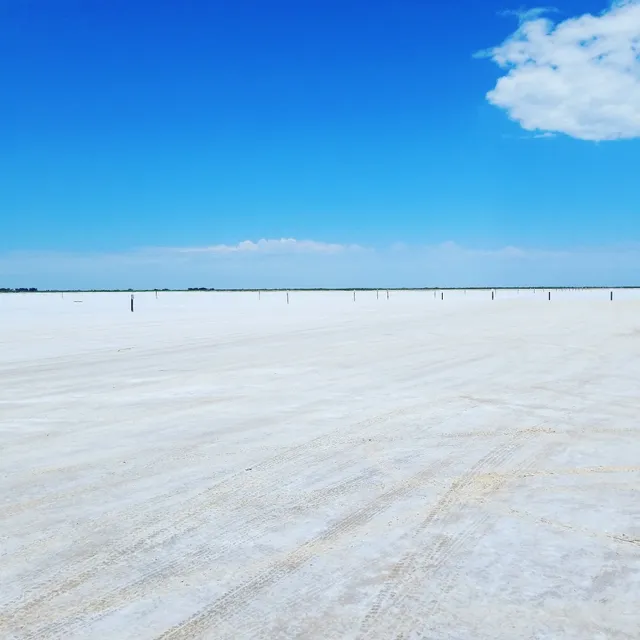 SALT PLAINS CRYSTALS