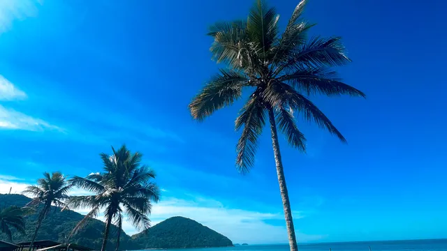 Temporada Ubatuba - Casas e Apartamentos para Aluguel