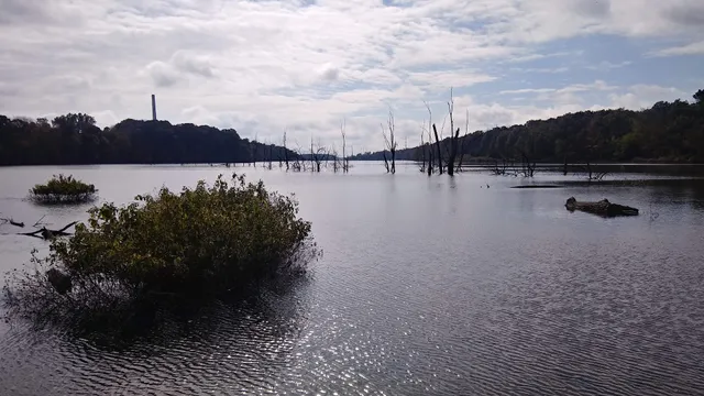 Eagle Watch Nature Trail