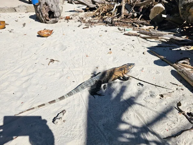 Isla Iguana Wildlife Refuge