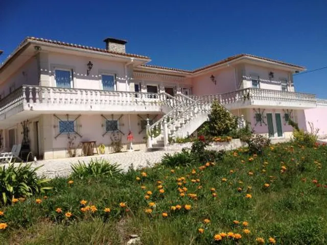 DomestivalOpens in new window