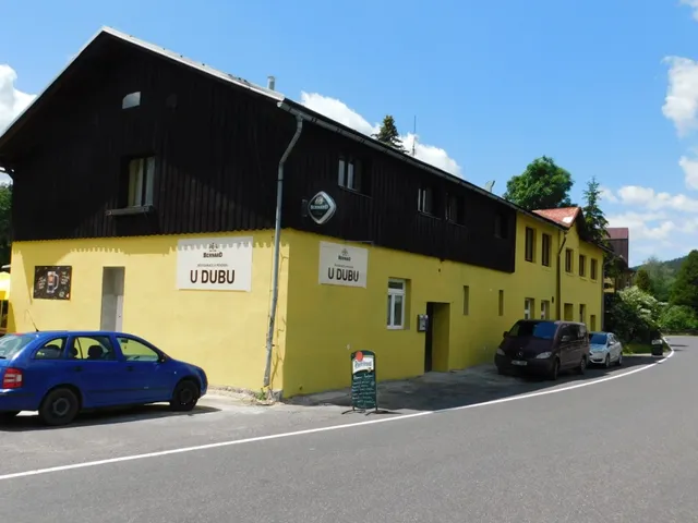 Penzion a restaurace U Dubu
