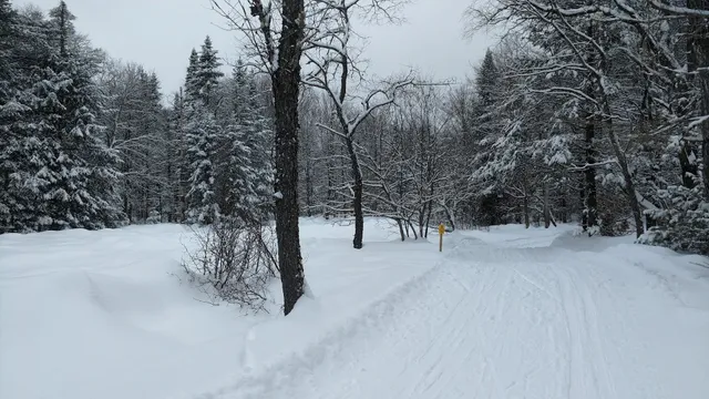Lapland Lake Nordic Vacation Center