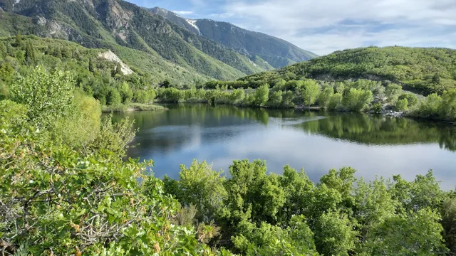 Bell Canyon Spillway