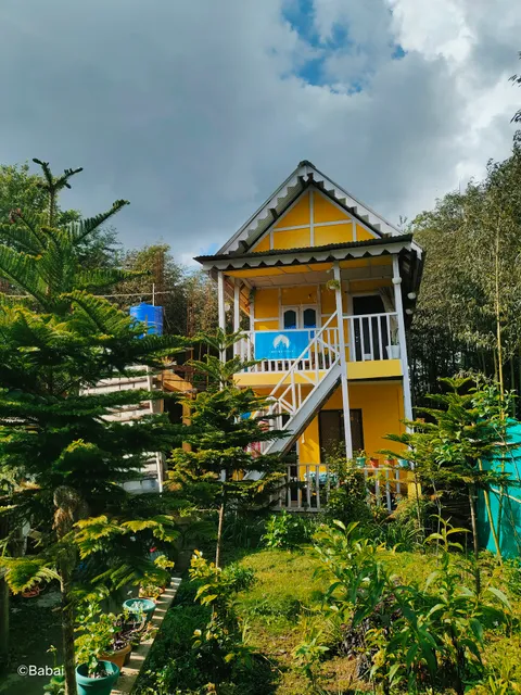 Odyssey Stays, Biirii