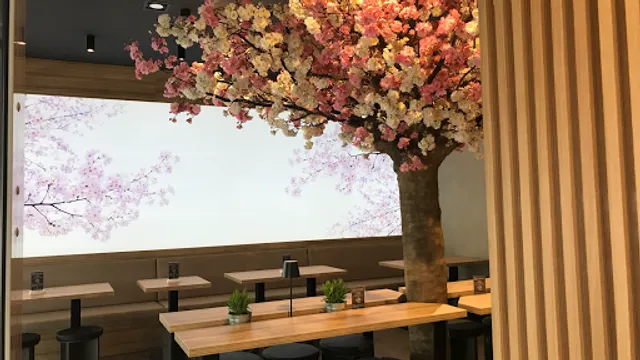 Any Sushi Berlin-Steglitz