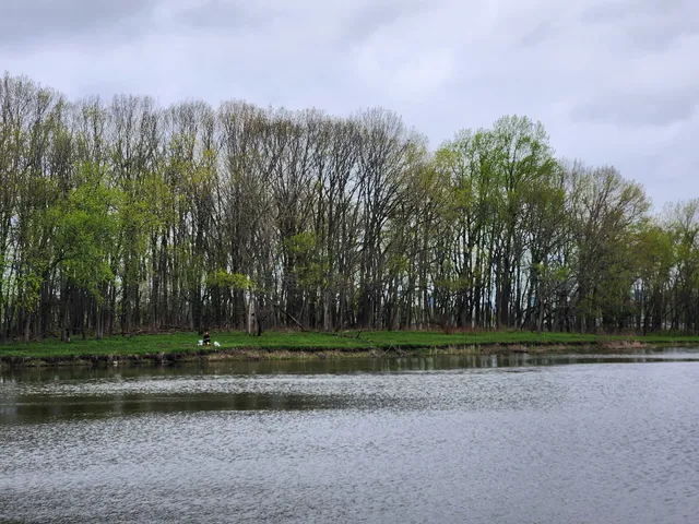 Busse Woods Picnic Grove #32