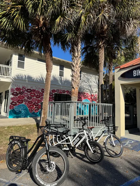 Cruiser 30A Electric Bike + Beach Rentals