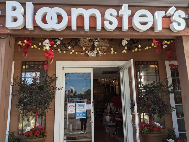 Bloomster's