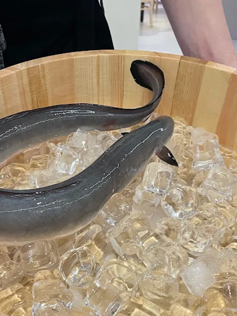 풍천만민물장어