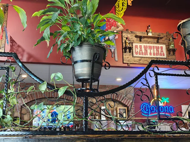 Don Rigo Mexican Bar & Grill