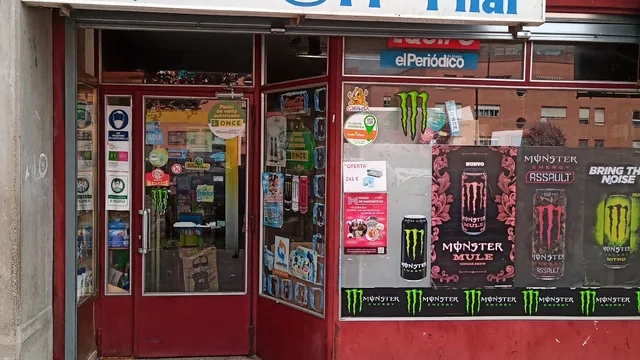 María Pilar Olmos Larriba