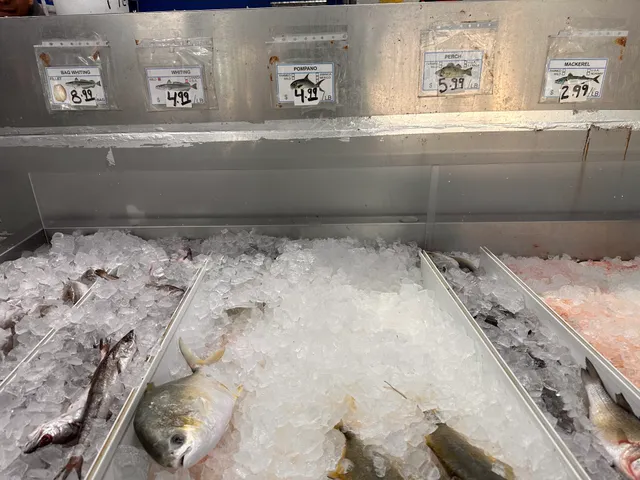 Tropical Sun Fish Market