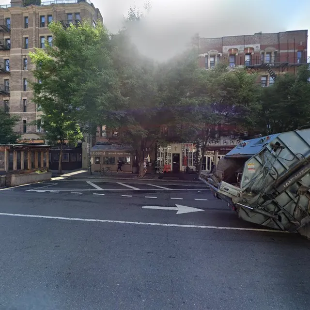 Christmas Lights R Us Of Manhattan