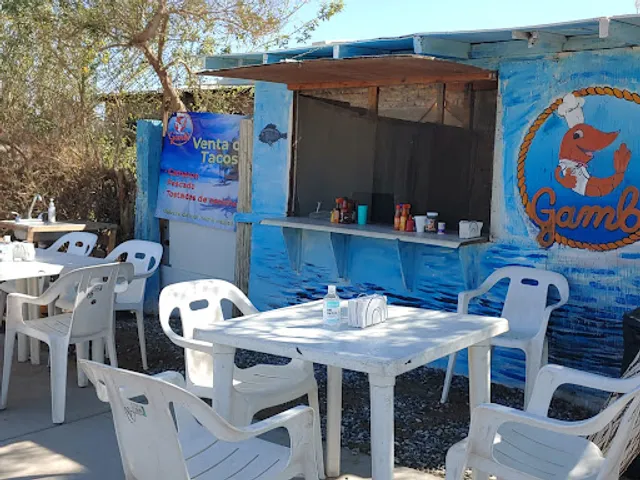 Tacos Gambi