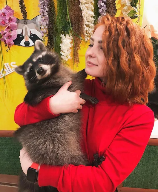 Енотополис