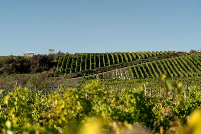 Domaine L'Ange Gardien - Winery & Cidery