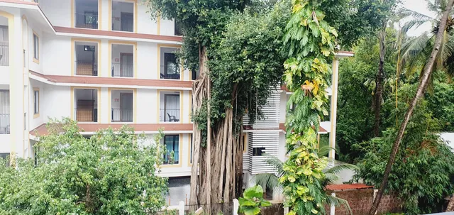 Acron Candolim Manolita