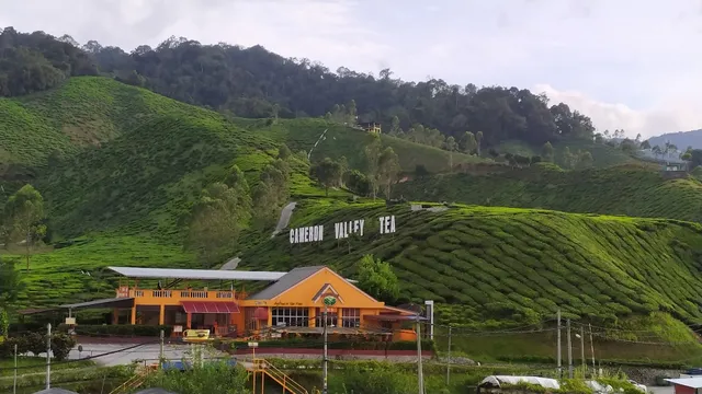 Peony Apartment @ Cameron