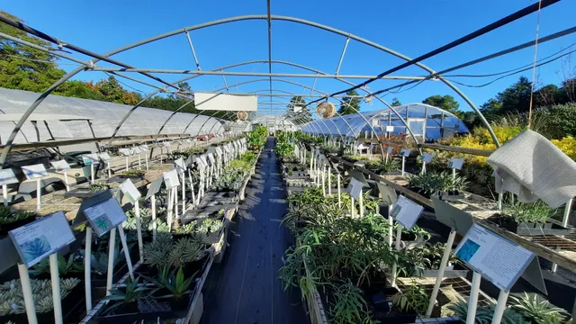 Plant Delights Nursery, Inc.