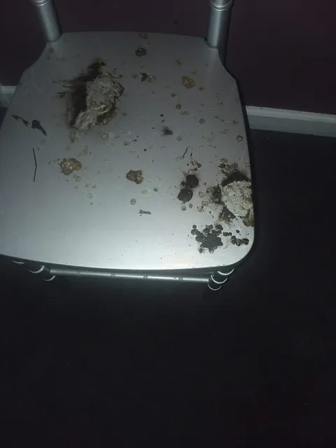 George P. Evans Reception Center And Safety Building