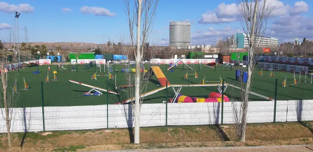 Club Agility L’Almozara