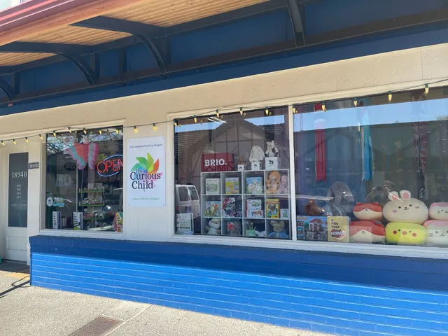 The Curious Child Toys